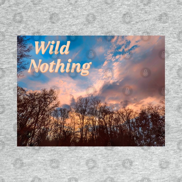 WILD NOTHING by Noah Monroe